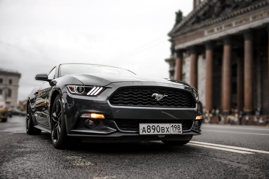 A sleek black Ford Mustang parked on a city street, embodying luxury and performance